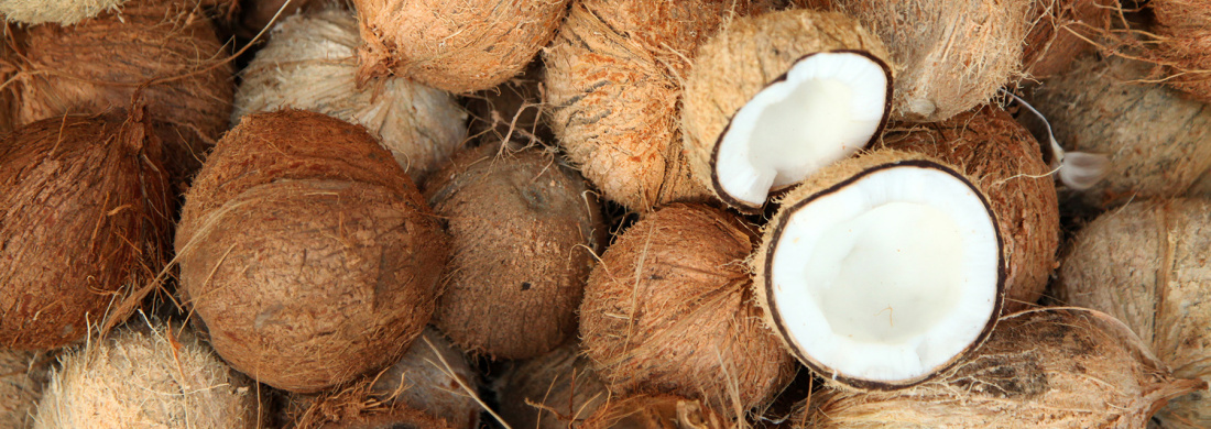 COCOS_Coconuts